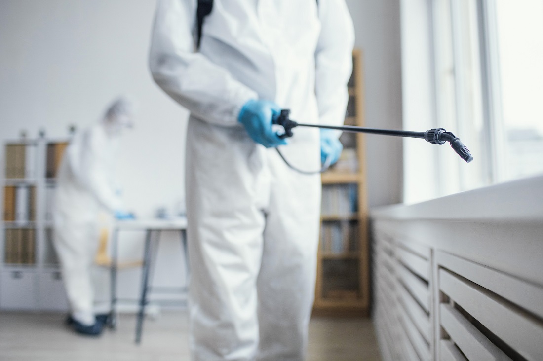 Top Companies That Use Effective Bed Bug Management Strategies in Texas